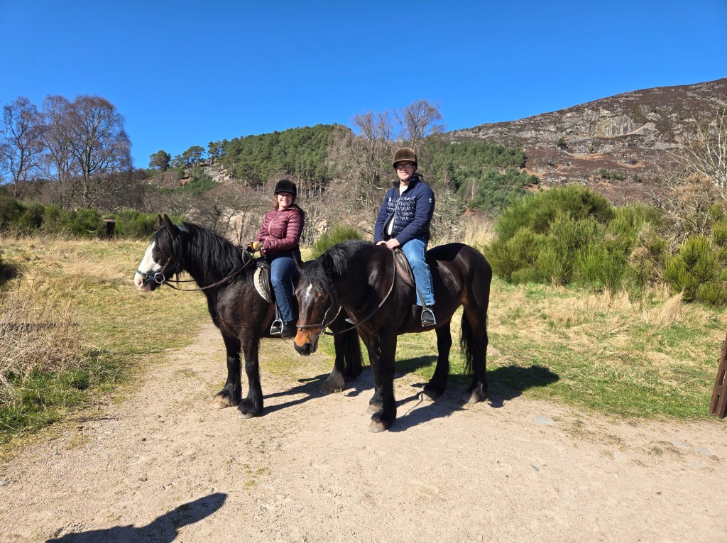 horseback riding on vacation
